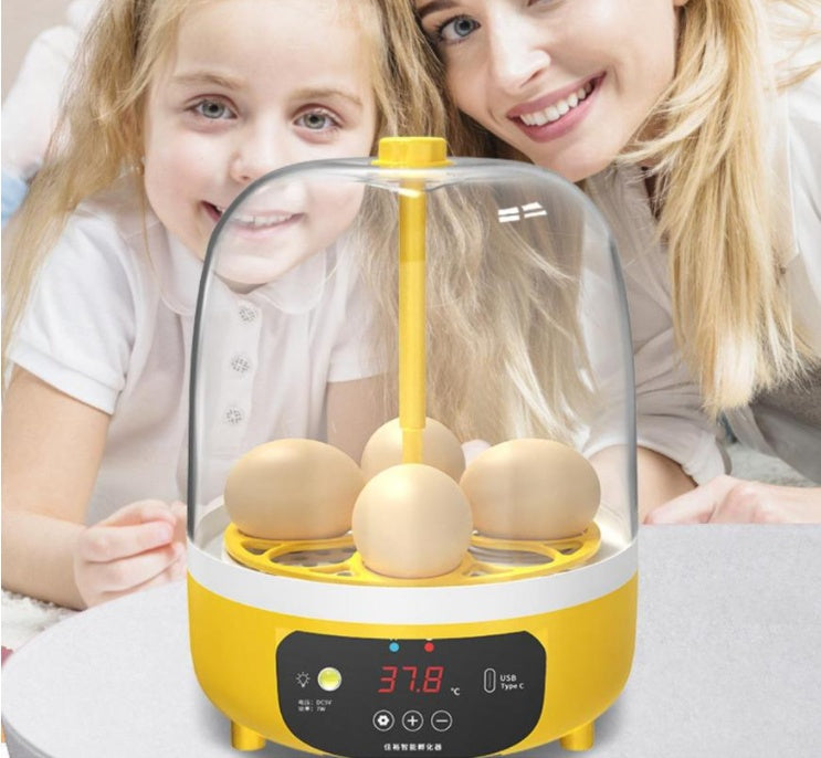 Children Smart Egg Incubator Mini Small Home