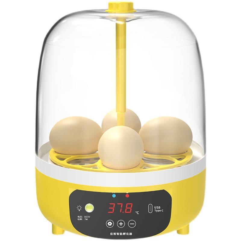 Children Smart Egg Incubator Mini Small Home