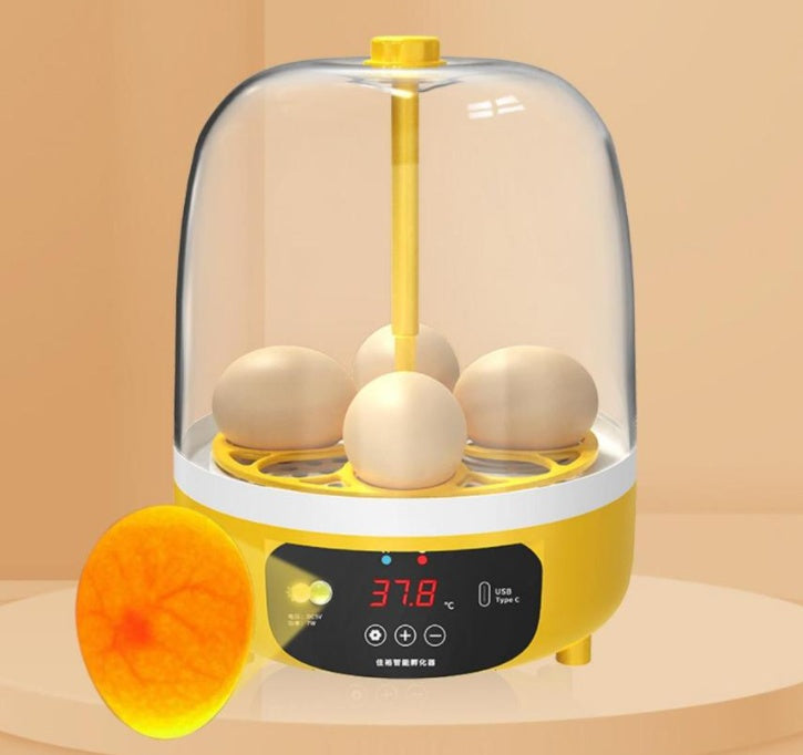 Children Smart Egg Incubator Mini Small Home
